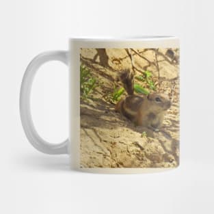 Squirrels, antelope squirrel, wildlife, Break Time Mug